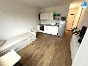 Pron�jem bytu 1+kk  v Plzni  Slovany