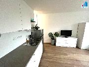 Pron�jem bytu 1+kk  v Plzni  Slovany