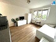 Pron�jem bytu 1+kk  v Plzni  Slovany