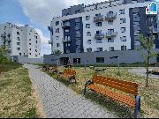 Pronjem bytu 2+1 v Plzni - Jin Pedmst