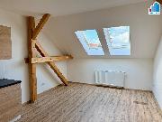 Pron�jem bytu 2+kk, Plze�, Guldenerova ulice