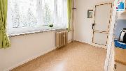 Pron�jem bytu 3+1 v Plzni, ulice Nepomuck�