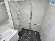 Pron�jem novostavby 1+kk v Plzni - Ji�n� P�edm�st�