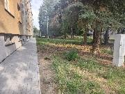 Byt 4+1 v OV, 92 m2 ve Vy�kov�