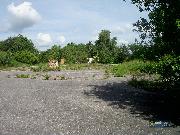 Komer�n� pozemek na trase Jihlava-Znojmo