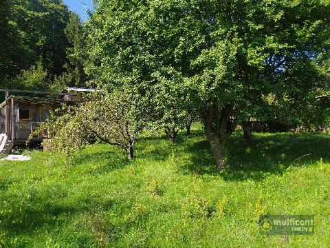 Obr�zek nen� k dispozici.