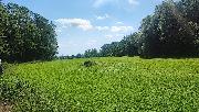 Prodej pozemk�-zahrad, ve Vy�kov�