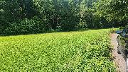 Prodej pozemk�-zahrad, ve Vy�kov�