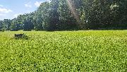 Prodej pozemk�-zahrad, ve Vy�kov�