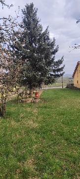 Obr�zek nen� k dispozici.