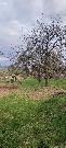 Prodej stavebn�ho pozemku na �adov� RD v obci Vini�n� �umice