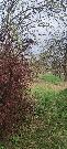 Prodej stavebn�ho pozemku na �adov� RD v obci Vini�n� �umice
