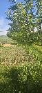 Prodej stavebn�ho pozemku na �adov� RD v obci Vini�n� �umice