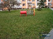 Pron�jem bytu 1+1 ve Vy�kov�, s�dli�t� Pal�nek