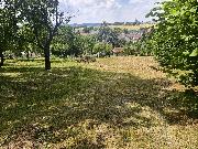 Rodinn� s�dlo  s pozemky ,gar�emi a zahradou, v Hlubo�anech u Vy�kova