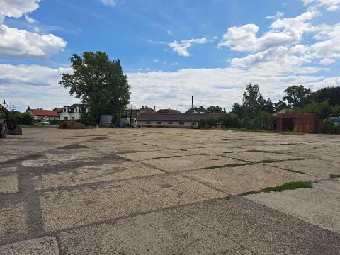 Obr�zek nen� k dispozici.