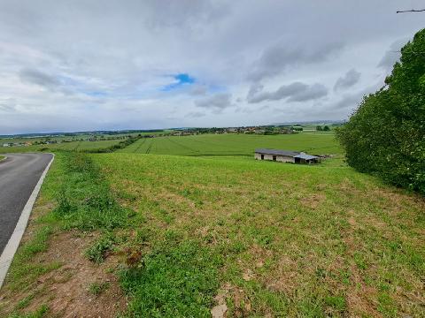 Obr�zek nen� k dispozici.