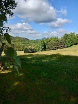 Obr�zek nen� k dispozici.