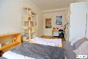 2+1, 50 m2, P�emyslovsk�, Praha 3 Vinohrady.