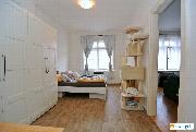 2+1, 50 m2, P�emyslovsk�, Praha 3 Vinohrady.
