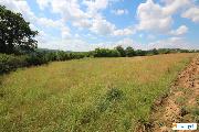Prodej orn� p�dy: pozemek p.�. 177, katastr�ln� �zem� Okrouhlo