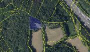 Prod�m les s chr�n�n�m lo�iskov�m �zem�m 4 613m2, Praha - V�chod, Kunice