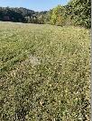 Prodm ornou pdu o rozloze 11.754m2 v obci Kunice-Vemy, Praha Vchod