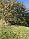 Prodm soubor pozemk o celkov ploe 7.468m2 v obci Kunice-Vemy, Praha-vchod
