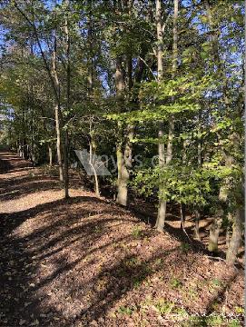 Obrázek není k dispozici.