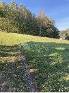 Prodám soubor pozemků o celkové ploše 7.468m2 v obci Kunice-Všešímy, Praha-východ