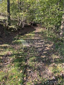 Obr�zek nen� k dispozici.