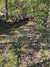 Prod�m soubor pozemk� o celkov� plo�e 7.468m2 v obci Kunice-V�e��my, Praha-v�chod