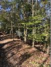 Prod�m soubor pozemk� o celkov� plo�e 7.468m2 v obci Kunice-V�e��my, Praha-v�chod