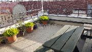 Prodej  bytu 2+1/T, 62 m2, 3.NP, Praha Vinohrady