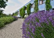 Prodej bytu 2+kk, v�m�ra 39 m2,  1NP/2NP, ulice B�ezensk�, Praha 8