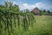 Prodej krsnho pozemku 1429m2, ul. Lun, Tinec