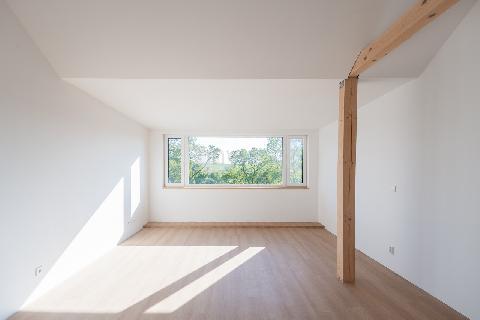 Obrzek nen k dispozici.