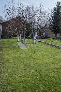 Obr�zek nen� k dispozici.