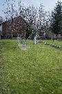 Prodej zd�n�, podsklepen� chaty 40 m2 na pozemku 326 m2, T�inec - Konsk�