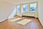 Pronjem bytu 1+kk, vmra 25 m2, 3NP/7NP, ulice Peruck, Praha 2 Vinohrady