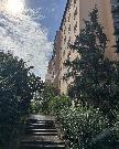 Pron�jem bytu 2+1, 55 m2 s balkonem, ul. Jasm�nova, Praha 10 - Z�b�hlice