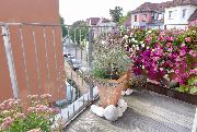 Pron�jem bytu 2+kk, 69 m2 s terasou a gar��, ul. Na Vyso�ansk�ch vinic�ch, Praha 9 - Vyso�any