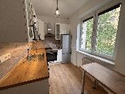 Pron�jem bytu 3+1 63 m2 Kopern�kov�, �esk� T��n