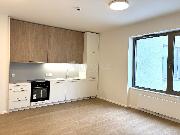 Pron�jem bytu se zvl�tn�m re�imem, 2+kk, 46 m2, ul. U Hostiva�sk�ho n�dra��, Praha 15