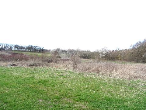 Obr�zek nen� k dispozici.