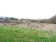 Pron�jem hezk�ho pozemku 4859 m2 - louky, Svina�ov - Sme�no, okr. Kladno