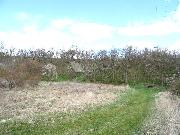 Pron�jem hezk�ho pozemku 4859 m2 - louky, Svina�ov - Sme�no, okr. Kladno