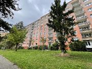 Prodej malho bytu v Plzni, Severn Pedmst, Sokolovsk ulice