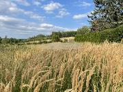 Prodej pozemku v k� Blovice na ji�n�m Plze�sku