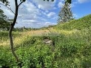 Prodej pozemku v k� Blovice na ji�n�m Plze�sku